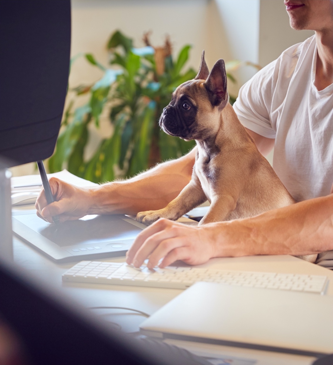 A puppy perks up as a woman works on her laptop with stylus