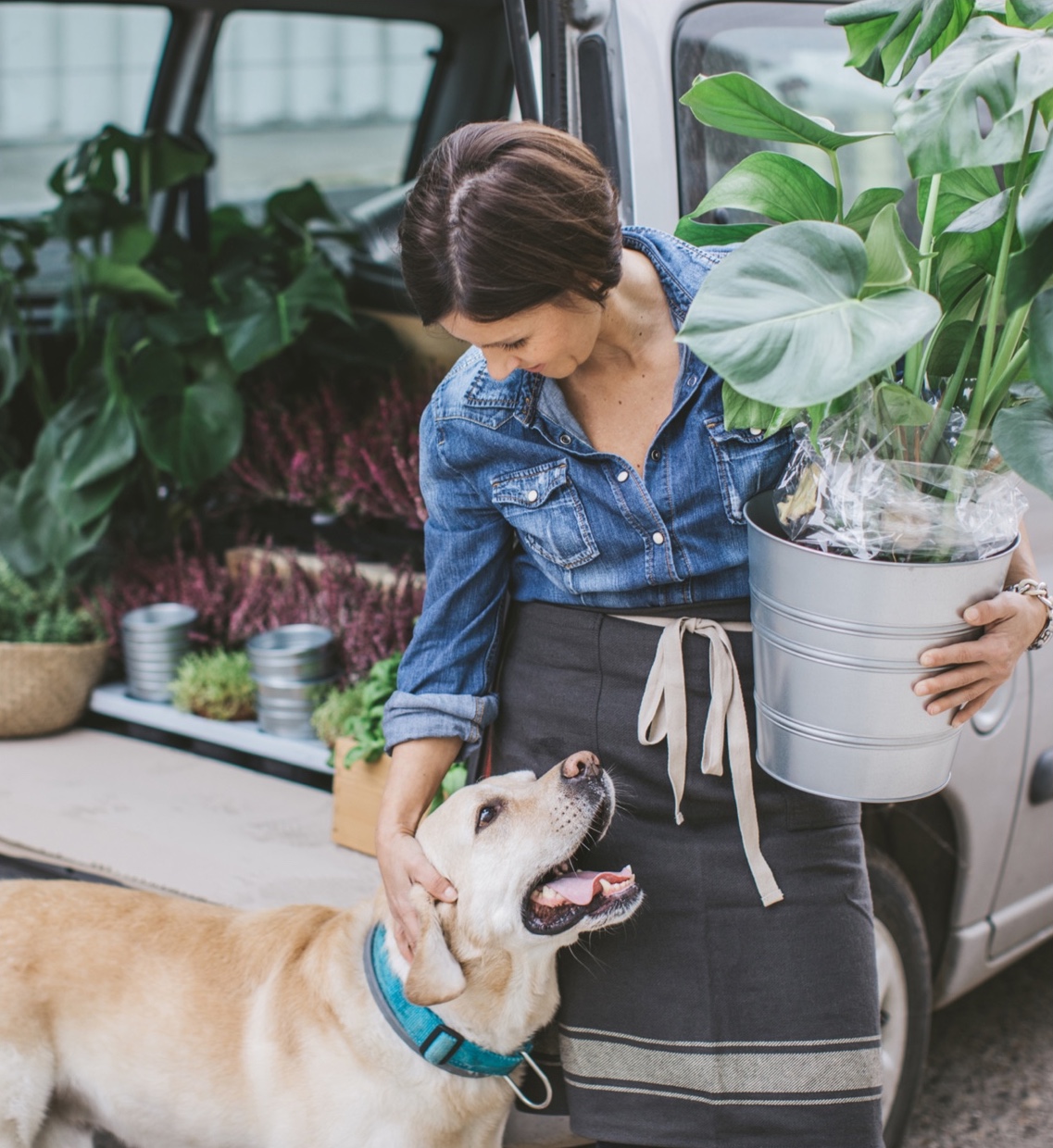 a woman carrying a houseplant pets a dog